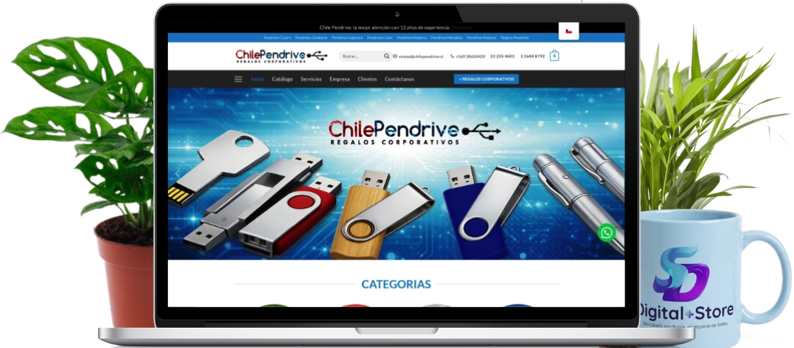 banner portafolio dps pedrive chile