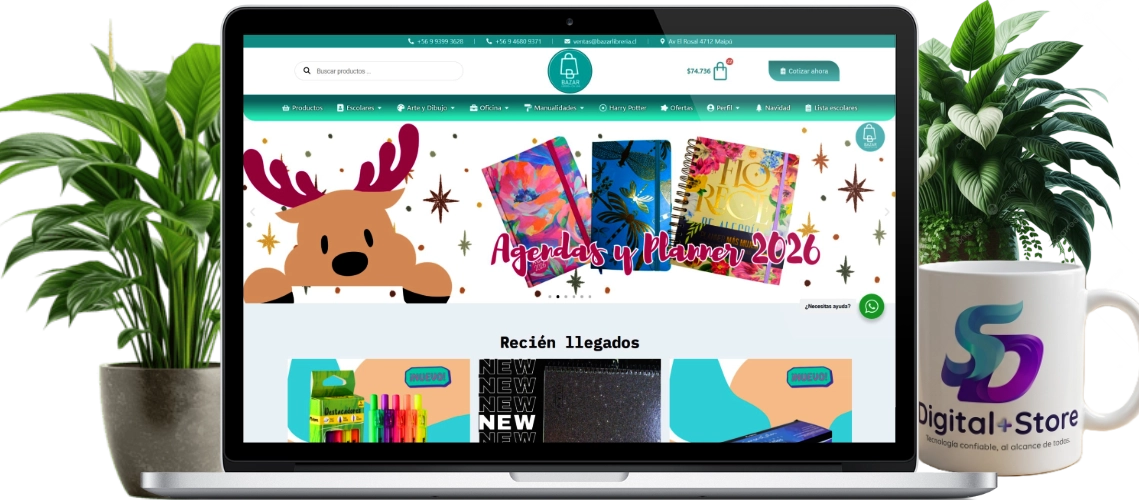 diseno-web-profesional-agencia-creativa Bazar libreria chile